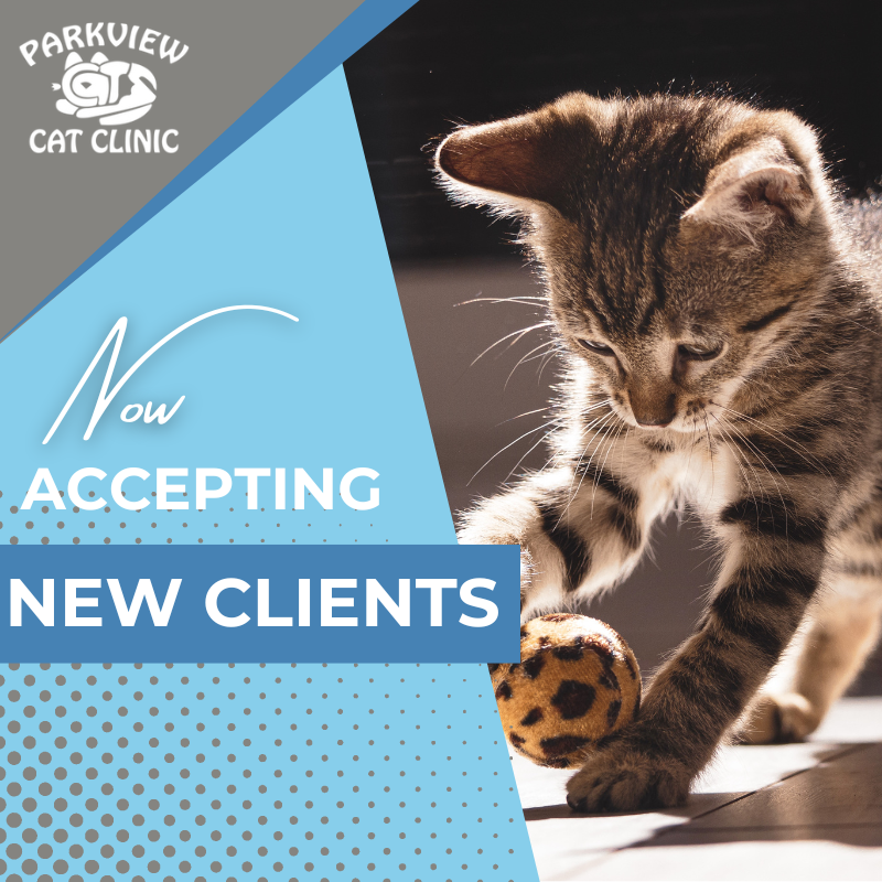 accepting new clients graphic